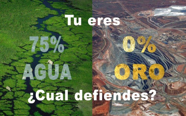 Para la exploración y extracción minera están comprometidas 357 mil 443.87 hectáreas de tierra, ubicadas en 40 de los 122 municipios de Chiapas.