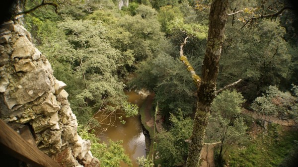 Una buena experiencia es subirse en la tirolesa y montar a caballo, disfrutar de los árboles, descansar sobre el pasto y, si ha buen clima, darse un chapuzón en el Fogótico. 