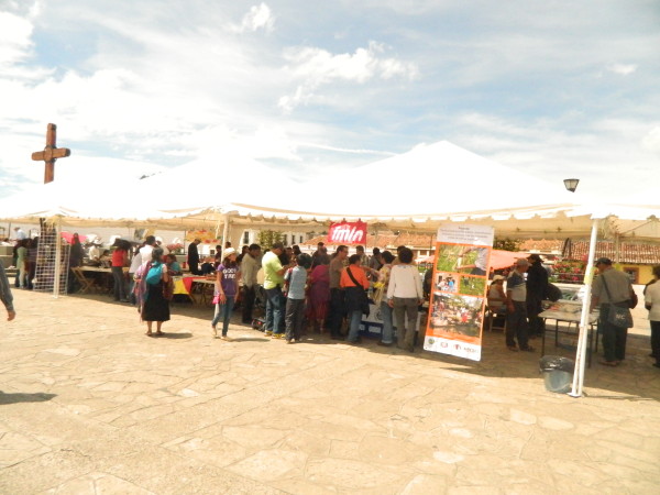 Ocho países compartieron avances en la agricultura sustentable. Foto Amalia Avendaño