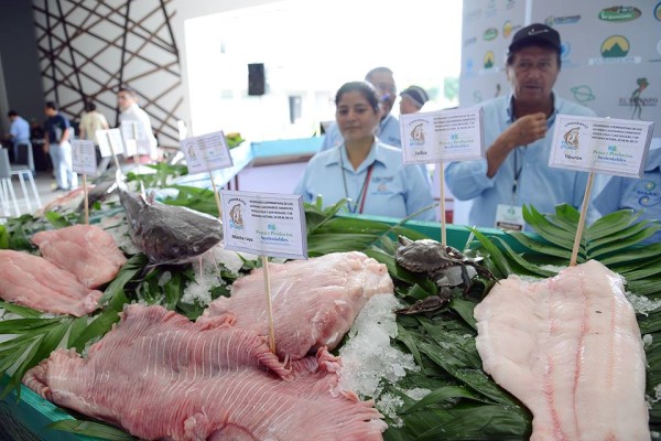 Participaron los productores de miel, café, pescados y otros. Foto: Cortesía Conanp