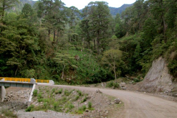 Camino a Tapalapa. Foto: Fermín Ledesma/Chiapas PARALELO