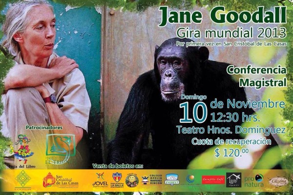 Jane Goodall Chiapas llega a Chiapas como parte de la gira mundial que realiza en su labor de sensibilización ambiental, principalmente a niños y jóvenes.