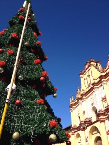 El impacto visual de la colocación de esta gran carpa blanca, el tobogán y el árbol de navidad resulta muy grave y desfavorable,  son elementos que impiden apreciar la Fachada de la Catedral, la Cruz Atrial, y demás edificios aledaños.