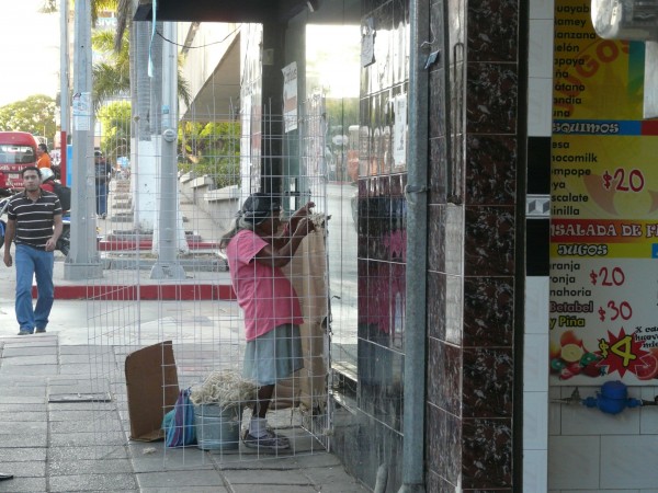 Doña Milita se prepara para pasar otra noche a la intemperie. Foto: Chiapas PARALELO