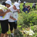 Bajo los matorrales, en donde las madres centroaméricas, depositaron ayer flores están enterrados los cuerpos de migrantes, que no fueron identificados. Foto: Sandra de los Santos/ Chiapas PARALELO.