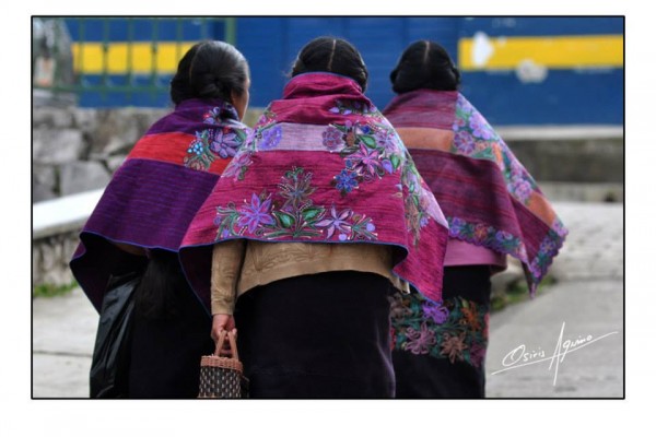 Plinio Osiris Aquino Pérez realiza en La construcción de la mirada de la y del fotoperiodista en Chiapas (2018) un trabajo de análisis de cómo interfiere “la ginopia”, la negación de las mujeres, en el fotoperiodismo. 