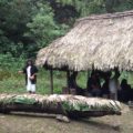 El Viejo Antonio celebró el ritual del balché en su templo sagrado dedicado a los dioses de esa etnia. Foto: Isaín Mandujano/Chiapas PARALELO