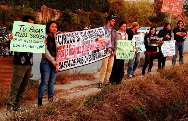 En Tuxtla Gutiérrez, jóvenes de la red de Animalistas de Chiapas protestaron el pasado sábado 18 de enero frente a las instalaciones del Circo Chino de Pekin, en contra de la esclavitud y maltrato de los animales en ese circo. Foto: Anibal Sánchez/Chiapas PARALELO