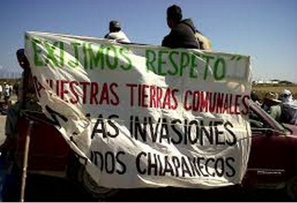 Habitantes de Los Chimalapas en la zona de Oaxaca demandan la propiedad del lugar. Foto: Cortesía