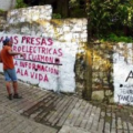 En riesgo el bosque mesófilo de montaña. Foto: Radio Expresión