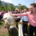 El reto de Manuel Velasco en el 2014, agarrar el toro por los cuernos. (Bueno, aunque el de la foto ni cuernos tiene). 