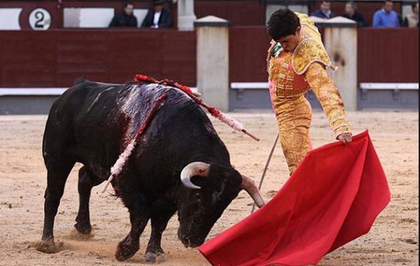 Sacrifico público de animales. Foto- Cortesía