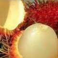 rambután 03