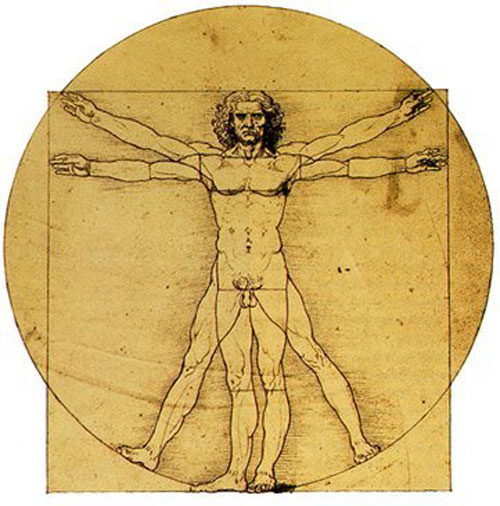 El hombre de Vitruvio de Leonardo Da Vinci. 