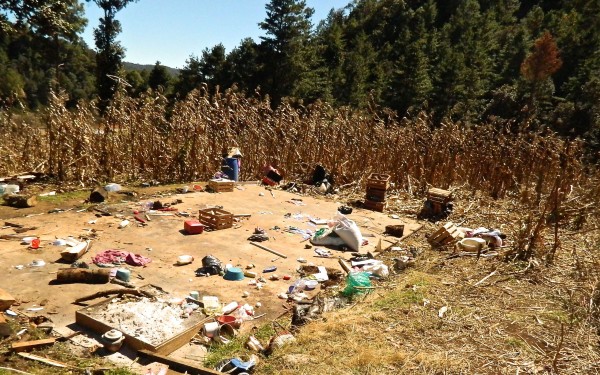 En Mitzitón destruyen la vivienda y expulsan a presunto ladrón. Foto: Amalia Avendaño