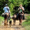 De la milpa, luego de una jornada. Chiapas. Foto: Isaín Mandujano/Chiapas PARALELO