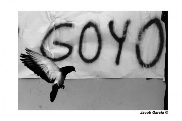 Periodistas de Chiapas exigieron el miércoles 12 justicia para Gregorio Jiménez y la renuncia del gobernador Javier Duarte en Veracruz. Foto: Jacob García/Chiapas PARALELO