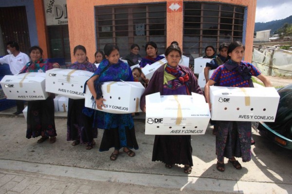 Mujeres reciben paquetes de aves y conejos como parte de la Cruzada Nacional Contra el Hambre. Foto: Icoso