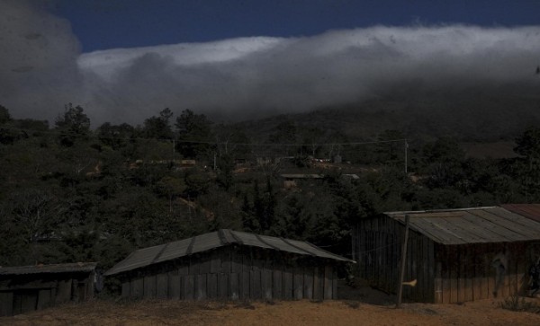 Más de 34 mil hectáreas se consumieron por incendios en Oaxaca en 2013 Foto: Página 3