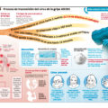 ¿Cómo se transmite y cómo se previene la influenza AH1N1? Infografía gobierno de Perú 