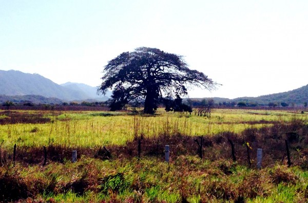 Paisaje en la Autopista Ocozocoautla-Arriaga. Foto: Isaín Mandujano/Chiapas PARALELO