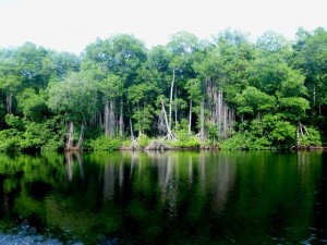 Isla Concepción, en Acapetahua, Chiapas. Foto: Carlos León Chanona