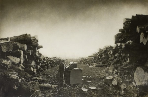 Trabajo fotográfico titulado Gautier's Dream de Robert y Shana ParkeHarrison. http://parkeharrison.com/