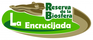 Reserva de la Biósfera La Encucijada