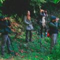 Capturando el atardecer entre los árboles de la Reserva de la Biósfera El Triunfo. Foto: Isaín Mandujano