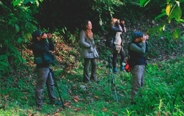 Capturando el atardecer entre los árboles de la Reserva de la Biósfera El Triunfo. Foto: Isaín Mandujano