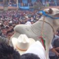 Toros en Carnaval de San Juan Chamula 01