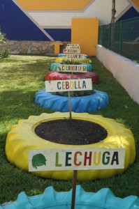 En la estancia hay hortalizas, que son cuidadas por los propios niños y niñas. Foto: Cortesía.