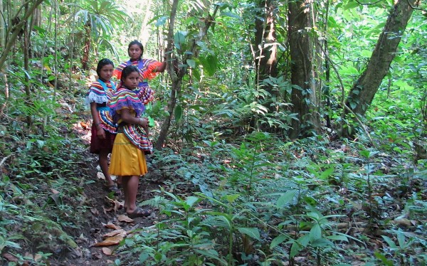 Habitantes de la Selva Lacandona llevan tres generaciones buscando la legalización de sus derecho a la tierra. Foto: Ángeles Mariscal