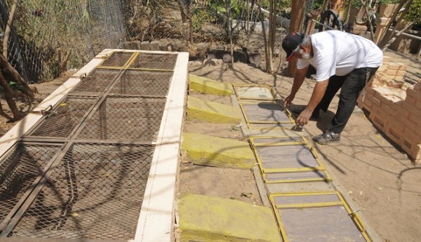 Criadero de iguanas en Juchitán, Oaxaca. Foto: Diana Manzo/Pagina3.mx