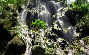 Cascadas en las zonas selvaticas chiapanecas. Foto: CONANP