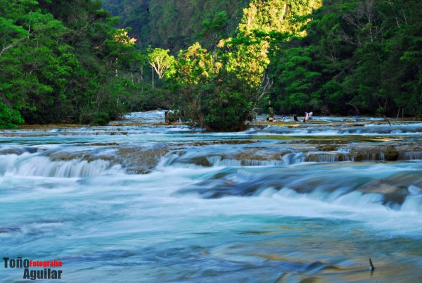 Las Nubes, en Maravilla Tenejapa, Chiapas. Foto: Toño Aguilar