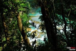 Las Nubes, en Maravilla Tenejapa, Chiapas. Foto: Toño Aguilar