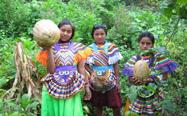 Las mujeres de maíz en la selva de Chiapas. Foto: Ángeles Mariscal/Chiapas PARALELO
