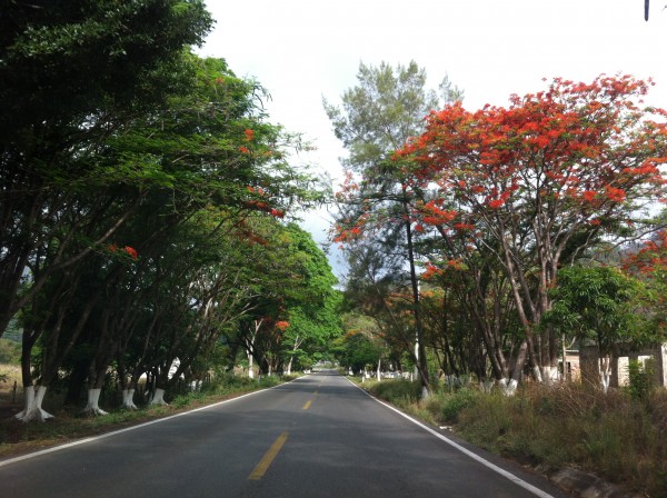 Foto: Sandra de los Santos/ Chiapas PARALELO. 