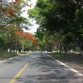 Los caminos de la vida Foto: Sandra de los Santos/ Chiapas PARALELO.