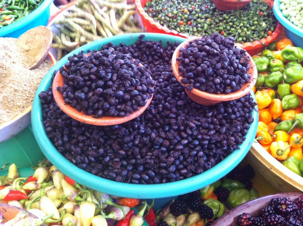 El precio del nucú está entre 30 y 50 pesos. Foto: Sandra de los Santos/ Chiapas PARALELO. 