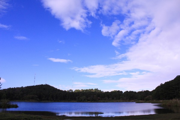 to: Francisco Velásquez/ Chiapas PARALELO. 