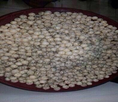 Mil huevos de tortuga fueron decomisados. Foto: Cortesía. 