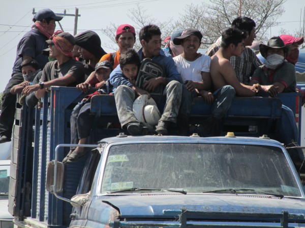 Los niños y adultos que trabajan en el corte de la caña. Foto: Sandra de los Santos/ Chiapas PARALELO. 