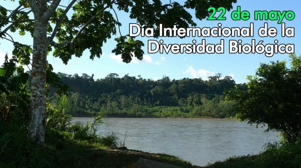 Hoy 22 de mayo: Día Internacional de la Diversidad Biológica