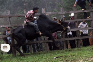 San Cristóbal de Las Casas. Habitantes de San Isidro el Ocotal  una comunidad 50 familias  que viven de la agricultura festejan al santo del mismo nombre con una misa, comida y la tradicional "montada del toro" en el que se reune todo el pueblo para disfrutar del espectáculo. Fotos: Elizabeth Ruiz/Chiapas PARALELO