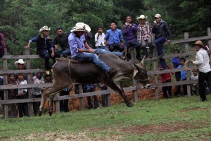 San Cristóbal de Las Casas. Habitantes de San Isidro el Ocotal  una comunidad 50 familias  que viven de la agricultura festejan al santo del mismo nombre con una misa, comida y la tradicional "montada del toro" en el que se reune todo el pueblo para disfrutar del espectáculo. Fotos: Elizabeth Ruiz/Chiapas PARALELO