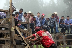 San Cristóbal de Las Casas. Habitantes de San Isidro el Ocotal  una comunidad 50 familias  que viven de la agricultura festejan al santo del mismo nombre con una misa, comida y la tradicional "montada del toro" en el que se reune todo el pueblo para disfrutar del espectáculo. Fotos: Elizabeth Ruiz/Chiapas PARALELO