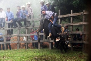 San Cristóbal de Las Casas. Habitantes de San Isidro el Ocotal  una comunidad 50 familias  que viven de la agricultura festejan al santo del mismo nombre con una misa, comida y la tradicional "montada del toro" en el que se reune todo el pueblo para disfrutar del espectáculo. Fotos: Elizabeth Ruiz/Chiapas PARALELO