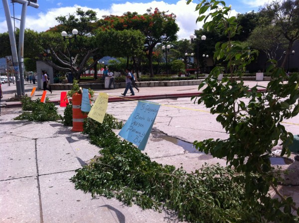 Foto: Sandra de los Santos/ Chiapas PARALELO. 